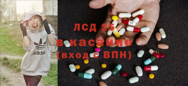 гашик Аркадак