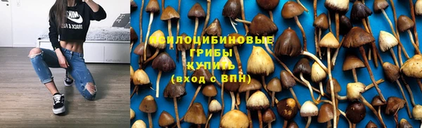 гидра Арсеньев